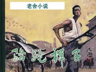 猫咪影视在线观看